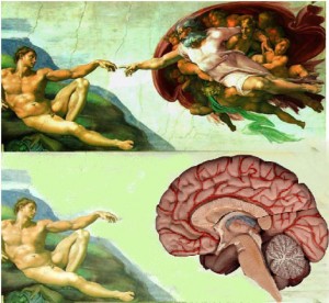 God in the Brain by Michelangelo God in the Brain painted by Michelangelo on the Sistine Chapel Ceiling