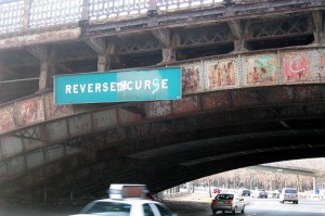 medium_150898161 Reverse the Curse