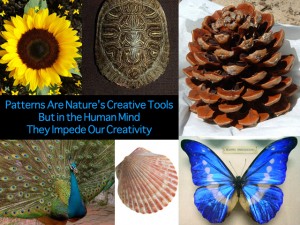 Fractal collage of nature
