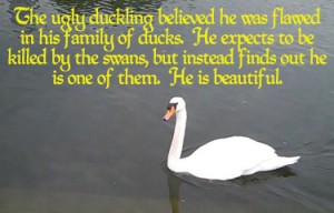 Ugly Ducking