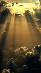 Imagine what would happen if people believed that they knew how the sun should shine better than the sun did.