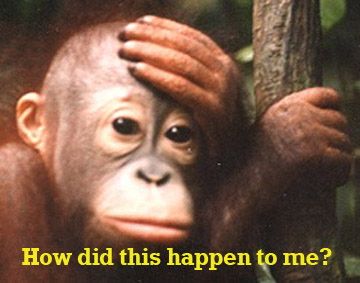Read more about the article Help!  I Can’t Find the Causal Belief
