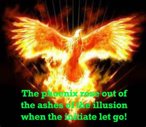 Phoenix Rising out of ashes