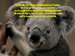Read more about the article You Can’t Buy True Freedom with Money
