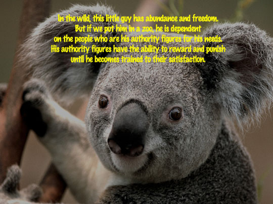 Read more about the article You Can’t Buy True Freedom with Money
