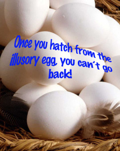Hating from the Illusory Egg