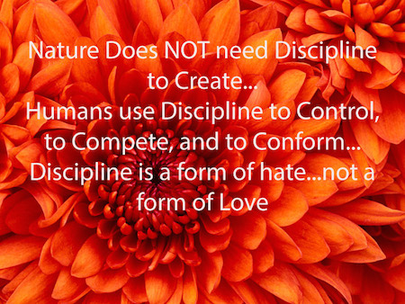 Read more about the article Discipline — Time To Say Goodbye!