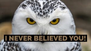 Read more about the article Letting Go Leads to “I Never F**king Believed You Anyway!”