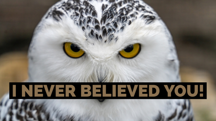 Read more about the article Letting Go Leads to “I Never F**king Believed You Anyway!”