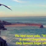 Who Am I?  I’m A Creator, A Free Thinker…