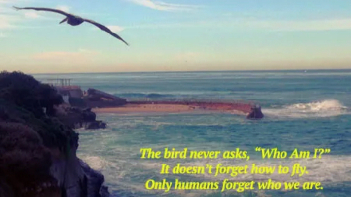 Read more about the article Who Am I?  I’m A Creator, A Free Thinker…