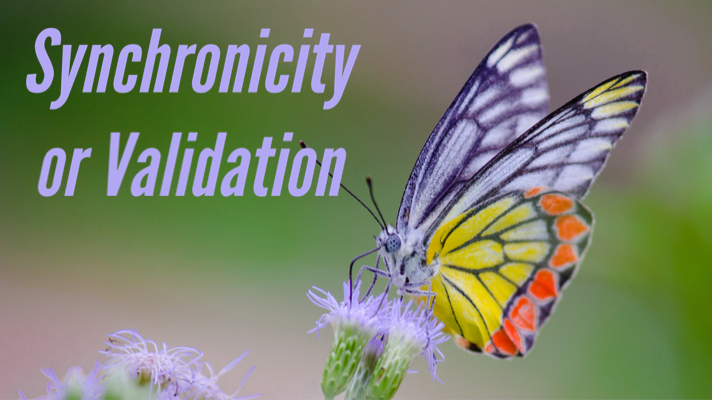 Read more about the article Synchronicity or Validation?  That is the Answer