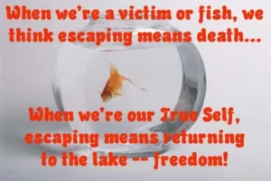 Read more about the article No Longer a Victim:  Escaping Victimhood Forever (Part I)