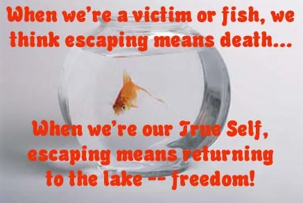 Read more about the article No Longer a Victim:  Escaping Victimhood Forever (Part I)