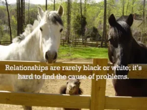 Read more about the article Who Is Hurting Whom?  A Relationship Trap