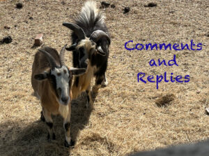 Read more about the article About the Category Labeled “Comments”