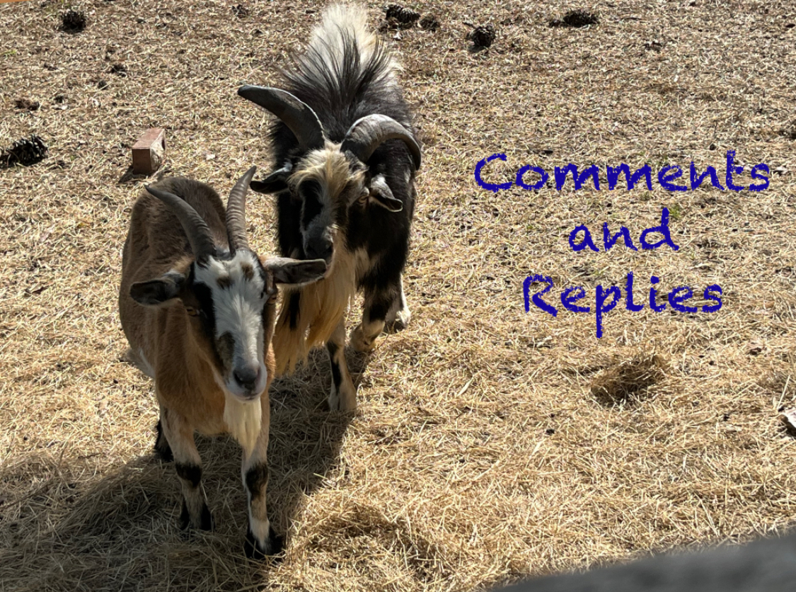 Read more about the article About the Category Labeled “Comments”