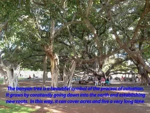 Read more about the article The Body (The Effect of the Mind)