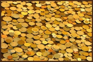 Read more about the article Getting Paid to Do What you Love