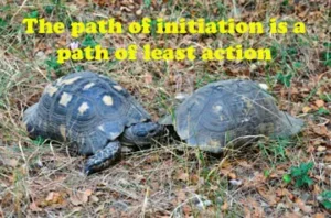 Read more about the article The Path of Initiation:  Thinking or Doing?