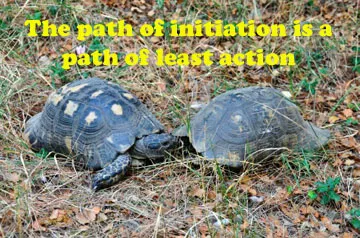 Read more about the article The Path of Initiation:  Thinking or Doing?